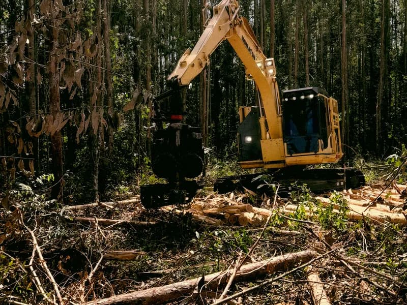 Land clearing project in Des Moines